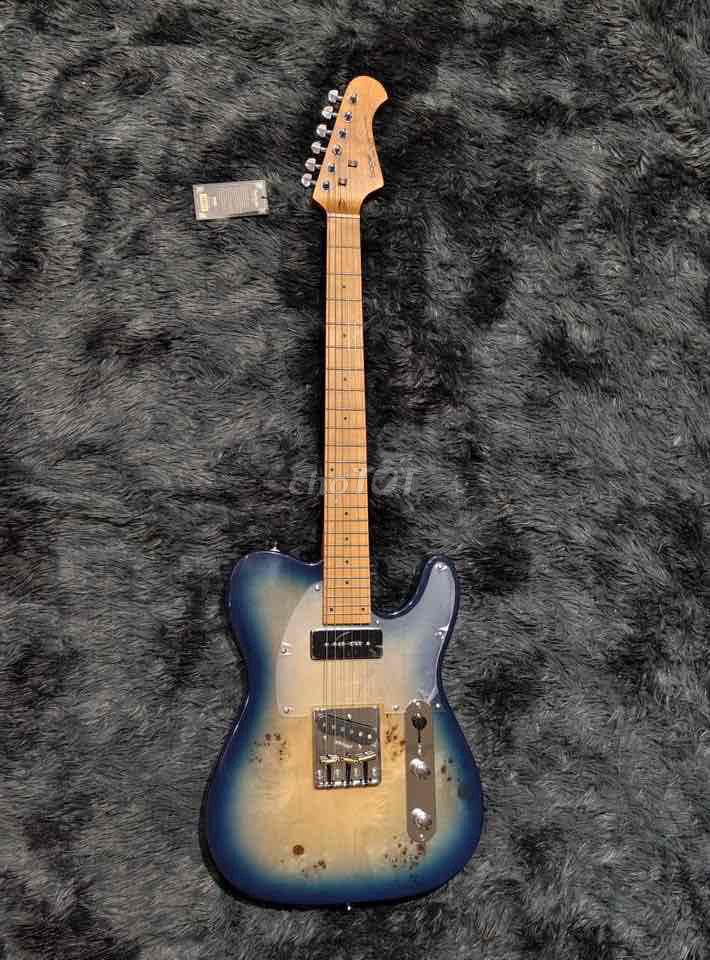 GUITAR ĐIỆN SQOE SETL 550 - SỰ LỰA CHỌN TUYỆT VỜI. Mua bán Nhạc cụ tại Quận Bình Thạnh Tp Hồ Chí Minh được đăng bởi Minh hình 1