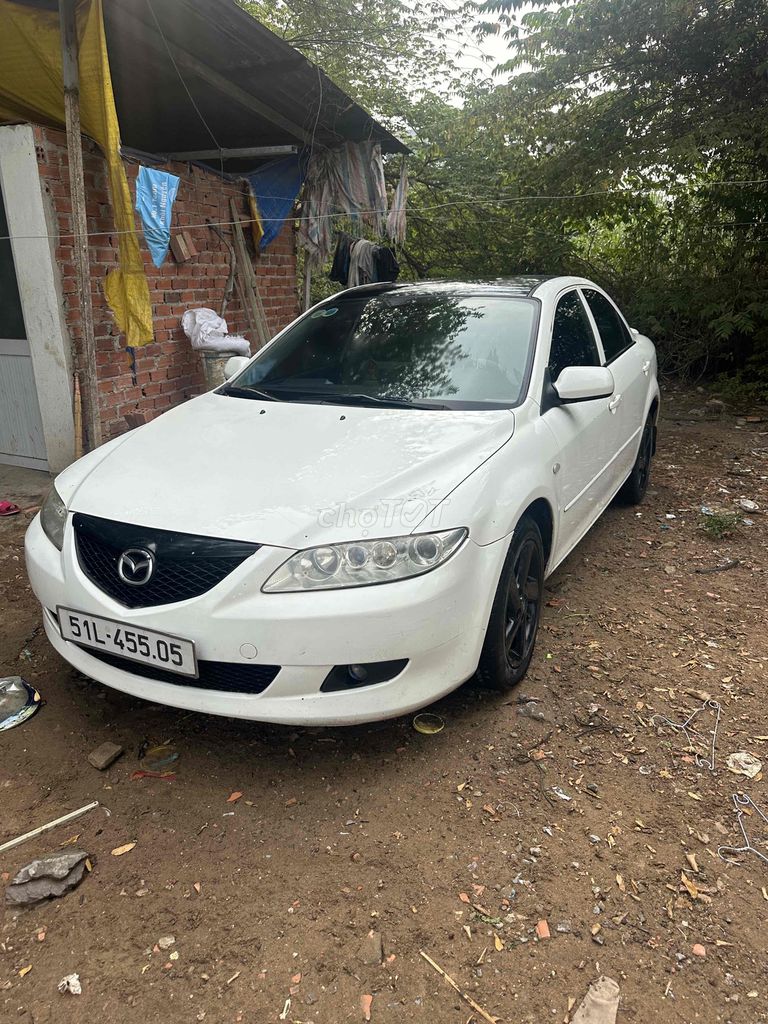 Ảnh số 6