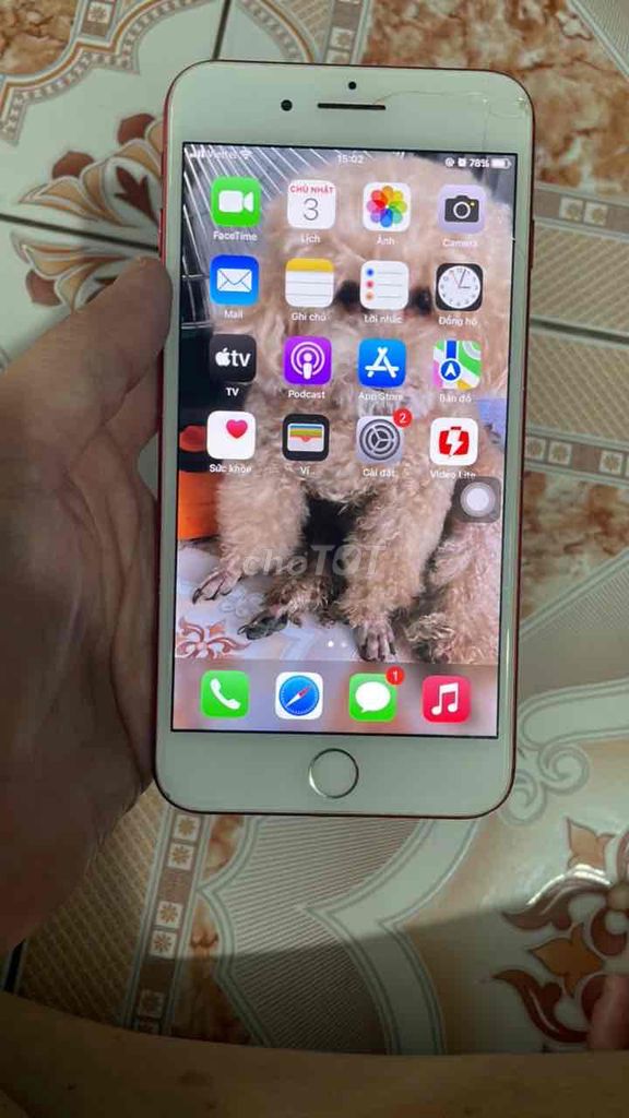 Apple iPhone 7 Plus 128GB Đỏ. Mua bán Điện thoại tại Thành phố Biên Hòa Đồng Nai được đăng bởi táo sâu hình 1