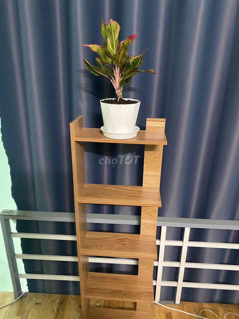Kệ sách 5 tầng giá học sinh sinh viên chỉ 149k. Mua bán Tủ, kệ gia đình tại Quận Bình Thuỷ Cần Thơ được đăng bởi Đoan thuy hình 1