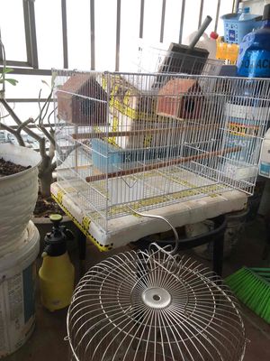 nghỉ chơi thanh lý cho ai cần. Mua bán Phụ kiện, Thức ăn, Dịch vụ tại Quận Hoàng Mai Hà Nội được đăng bởi Quân Trần