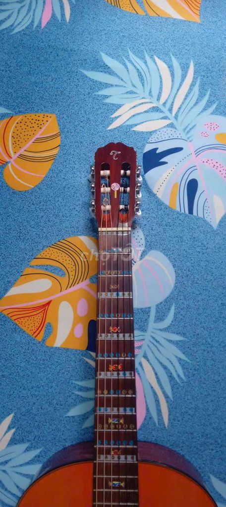 Guitar classic takamine