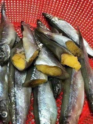 Cá trứng Na Uy 1 kg. Mua bán Đồ ăn, thực phẩm và các loại khác tại Huyện Thuỷ Nguyên Hải Phòng được đăng bởi Hs Biển