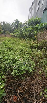 Đất 90 m² · Bến Trung
