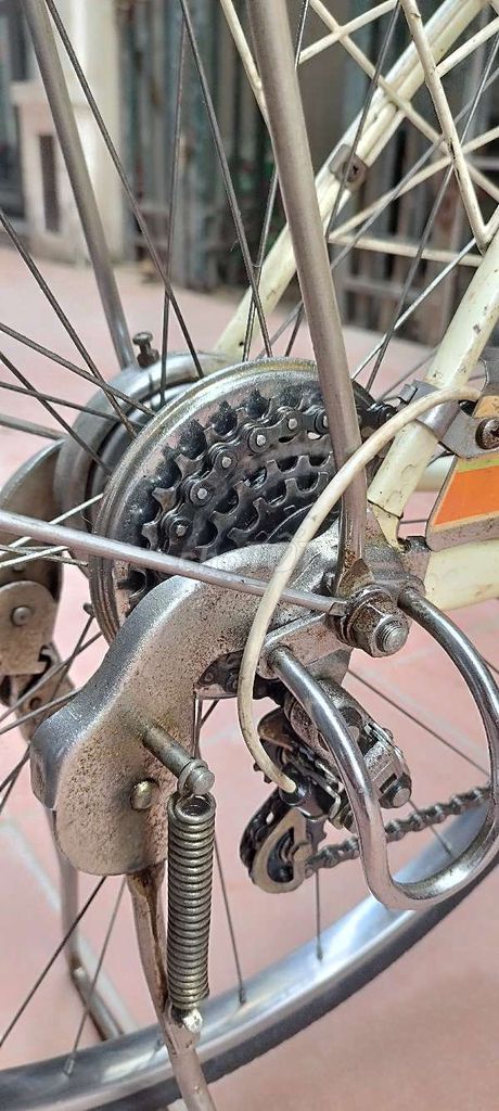 Xe đạp Miyata Thủy Thủ nữ Inox. Mua bán Xe đạp tại Quận Long Biên Hà Nội được đăng bởi Trần Nghi hình 1