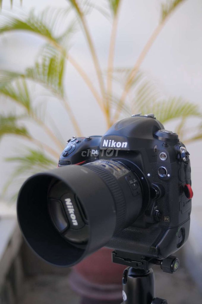 Máy ảnh Nikon D4 Đen Đã sử dụng. Mua bán Máy ảnh, Máy quay tại Thành phố Nha Trang Khánh Hòa được đăng bởi bui hoang nguyen hình 1