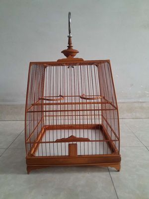 thanh lý lồng Thái cao