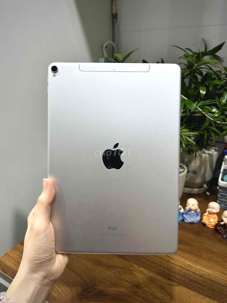 iPad Pro 10.5 64GB 4G/Wifi Zin all Màn pq trắng. Mua bán Máy tính bảng tại Huyện Hóc Môn Tp Hồ Chí Minh được đăng bởi SIRI STORE HCM hình 1