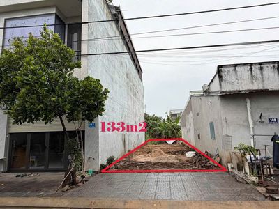 Plot of land 133 m² · Đường Trần Tử Bình