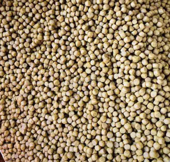 Thức ăn lươn tạo vàng. Mua bán Phụ kiện, Thức ăn, Dịch vụ tại Huyện Long Hồ Vĩnh Long được đăng bởi hien hình 1