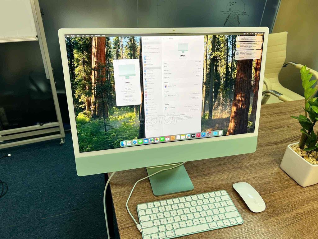 Imac 24" M1/8GB/256GB Xanh lá giá 19tr999k