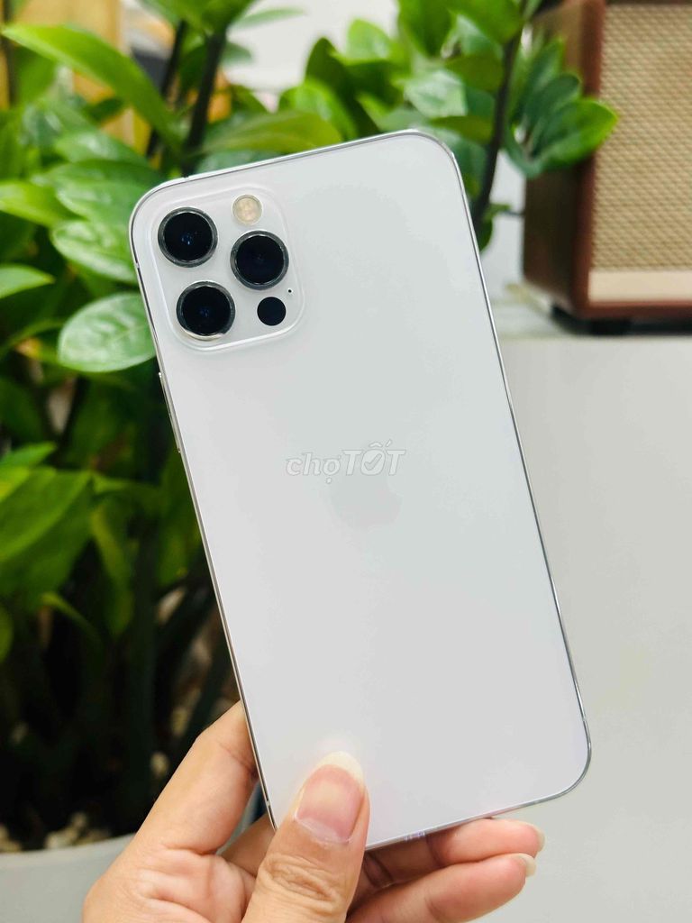 iPhone 12 Pro 256GB Trắng Nguyên zin. Mua bán Điện thoại tại Quận 10 Tp Hồ Chí Minh được đăng bởi Ngọng Store hình 1