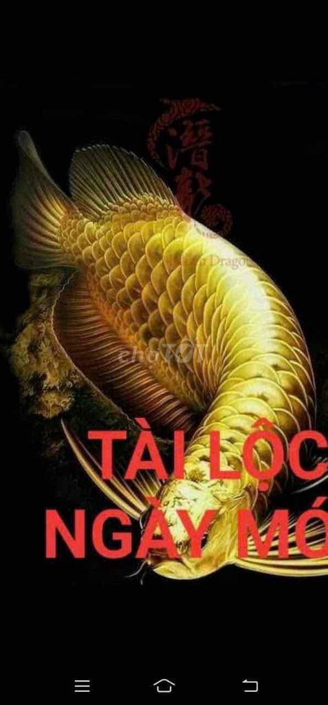 bán đất đặng hồi xuân khu nam hoà xuân. Mua bán đất tại Quận Ngũ Hành Sơn Đà Nẵng được đăng bởi Tran Ho Duykhang hình 4