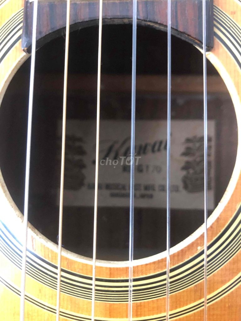 Guitar Nhật giá bình dân