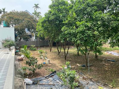 Đất ở đô thị. Mua bán đất tại Huyện Kim Động Hưng Yên được đăng bởi Kiên