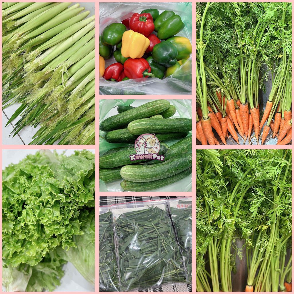 Thức ăn tươi Kawaii Pet. Mua bán Phụ kiện, Thức ăn, Dịch vụ tại Quận 12 Tp Hồ Chí Minh được đăng bởi Kawaii Pet hình 1