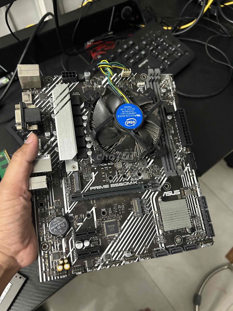 Asus Prime B560M-K i3 10101f. Mua bán Linh kiện (RAM, Card...) tại Quận Thanh Khê Đà Nẵng được đăng bởi Trái Tim Cô Đơn hình 1