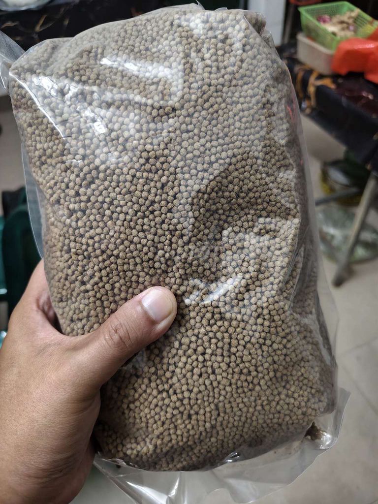 Thức ăn cho cá King-Feed. Mua bán Phụ kiện, Thức ăn, Dịch vụ tại Thành phố Huế Thừa Thiên Huế được đăng bởi Nhật Cường hình 1