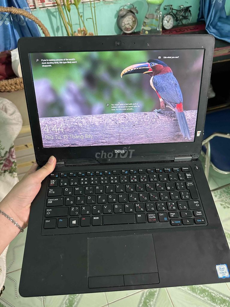dell e5270 i5 6200u. Mua bán Laptop tại Thành phố Thuận An Bình Dương được đăng bởi m hình 1