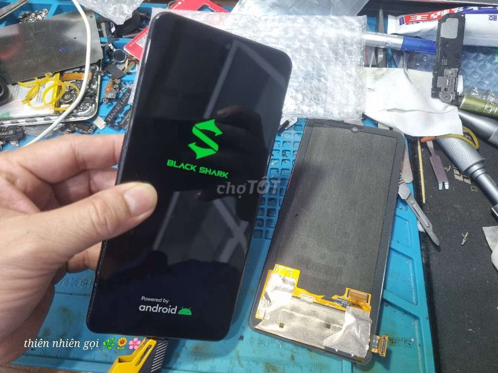 Thay Màn hình Xiaomi Black Shark 4