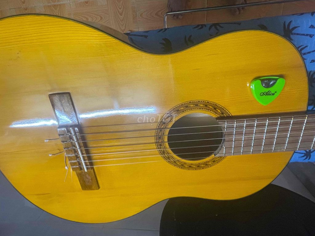 Đàn guitar classic