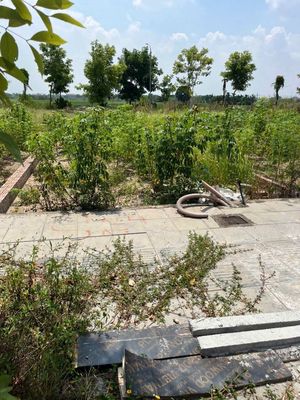 Plot of land 80 m² · Xã Thư Lâm