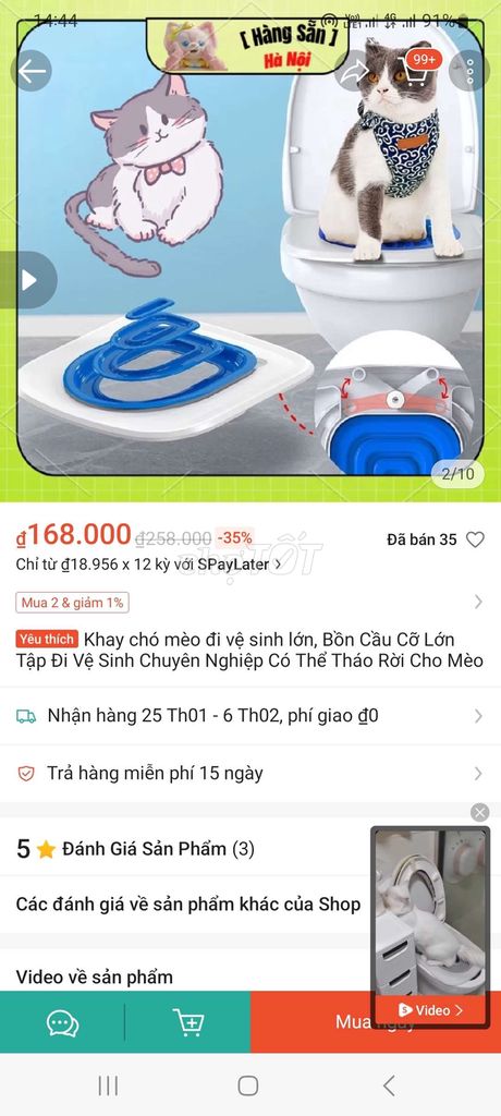 Khay tập đi toilet cho mèo