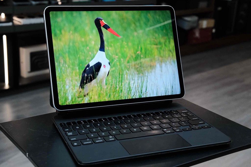 iPad Pro 11 2020 128GB Bạc đẹp 98%. Mua bán Máy tính bảng tại Quận Bình Thạnh Tp Hồ Chí Minh được đăng bởi Vân Anh 2Tech House hình 1