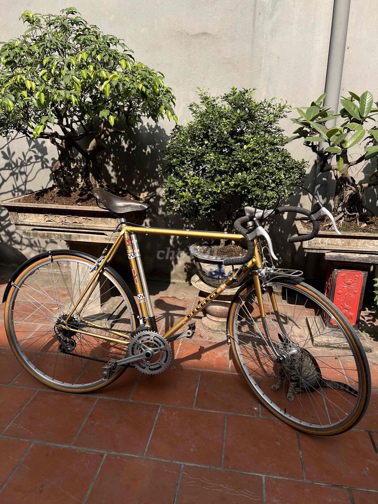 Xe đạp Peugoet 1977. Mua bán Xe đạp tại Quận Nam Từ Liêm Hà Nội được đăng bởi Nguyễn Thái hình 1