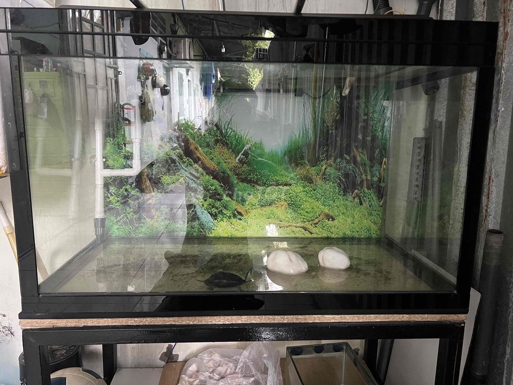 Hồ cá 80x40x50 cm còn rất mới. Mua bán Phụ kiện, Thức ăn, Dịch vụ tại Quận Gò Vấp Tp Hồ Chí Minh được đăng bởi THONGNGUYEN hình 1