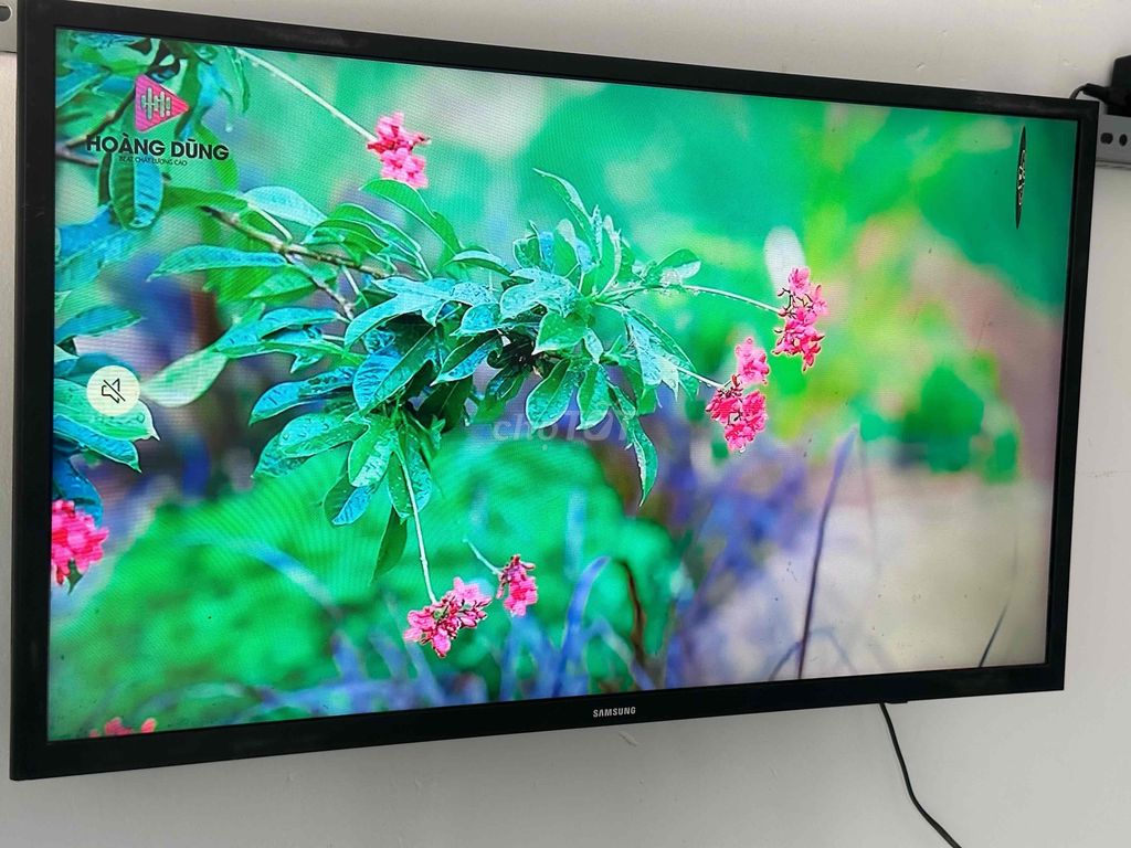 SMART TV SAMSUNG 32in WiFi siêu mỏng đẹp xuất sắc.