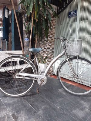 Xe đạp Martin Inox Trắng Đã sử dụng. Mua bán Xe đạp tại Quận Gò Vấp Tp Hồ Chí Minh được đăng bởi Cửa hàng Tiến Thìn