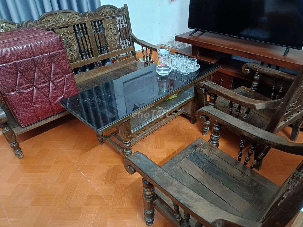Cây cảnh Phong lan Xanh lá. Mua bán Cây cảnh, đồ trang trí tại Huyện Hải Hậu Nam Định được đăng bởi Đạt hình 1