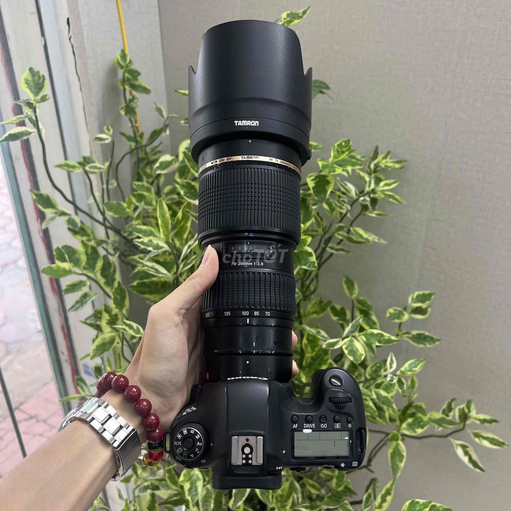 Máy ảnh Canon EOS 6D kèm tam 70-200f2.8 macro. Mua bán Máy ảnh, Máy quay tại Huyện Thanh Trì Hà Nội được đăng bởi Nguyễn Đức Tuấn hình 1