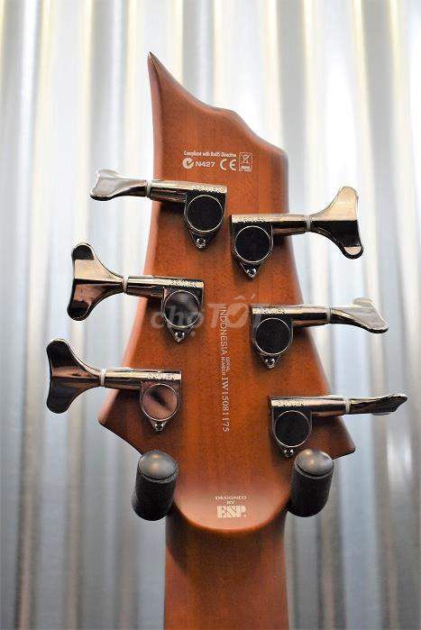 Tphcm cần bán bass LTD D6 6 dây