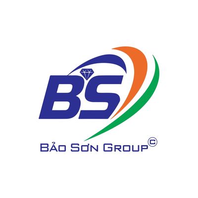 CÔNG TY TNHH XUẤT NHẬP KHẨU VÀ ĐẦU TƯ BẢO SƠN logo