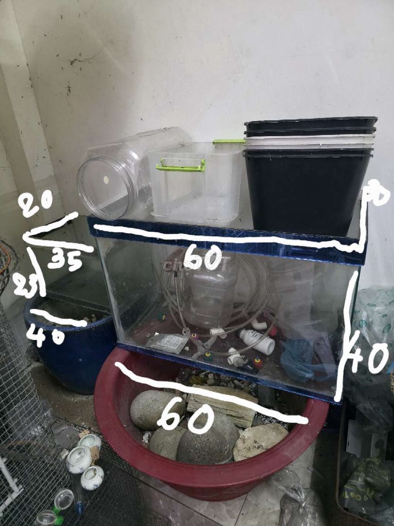 Hồ cá kính . Mua bán Thú cưng khác tại Thị xã Bến Cát Bình Dương được đăng bởi Anh Phạm hình 1