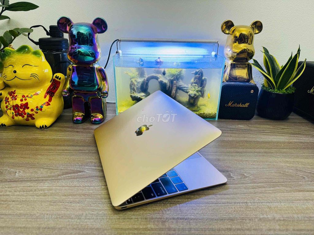 Thanh lý macbook 12” inch siêu mỏng. Mua bán Laptop tại Quận Đống Đa Hà Nội được đăng bởi Linh Kobe hình 5