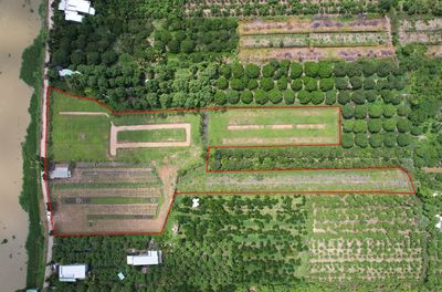 [Chính chủ] - Cần bán đất ven sông - 12404m2. Mua bán đất tại Huyện Lấp Vò Đồng Tháp được đăng bởi Mai Hữu Tài