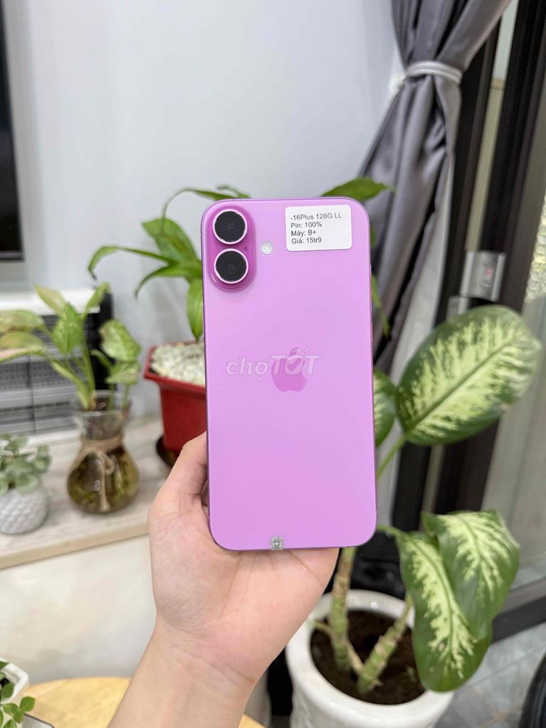 Apple iPhone 16 Plus 128Gb Hồng LL/A. Mua bán Điện thoại tại Huyện Hóc Môn Tp Hồ Chí Minh được đăng bởi Luân Hoài hình 1