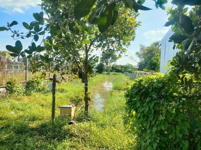 Nhà đất đường Hà Huy Giáp Cờ Đỏ