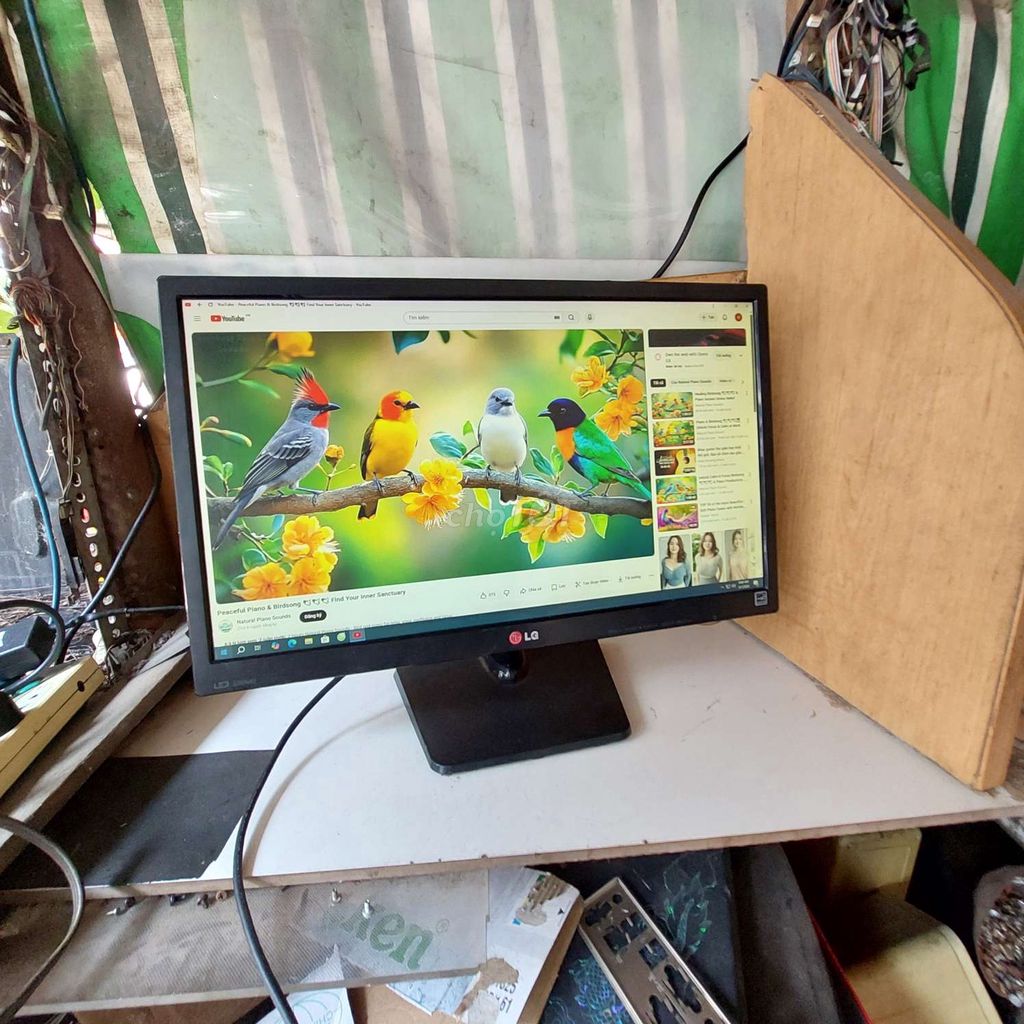 Màn hình LG LED 22 inch Full HD Đen. Mua bán Phụ kiện (Màn hình, Chuột...) tại Quận 11 Tp Hồ Chí Minh được đăng bởi hb computer hình 1