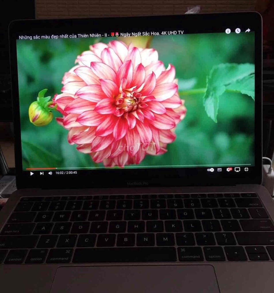 MacBook pro 2017 i5/ ram 8/ ssd 256/ 13.3 inch 2k