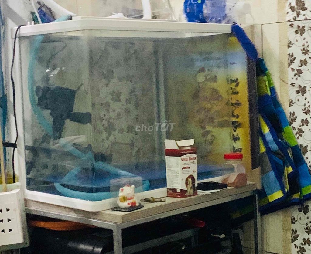 Bể cá Kính đúc 50cm. Mua bán Phụ kiện, Thức ăn, Dịch vụ tại Quận Hải Châu Đà Nẵng được đăng bởi thọ hình 1