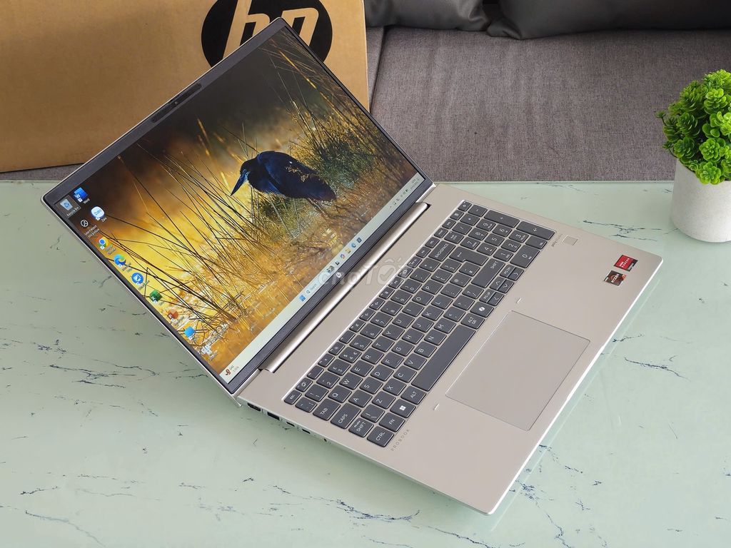 HP ProBook 455 G10 Ryzen 7 16GB/512GB. Mua bán Laptop tại Quận Bình Tân Tp Hồ Chí Minh được đăng bởi Cẩm Nhung hình 1