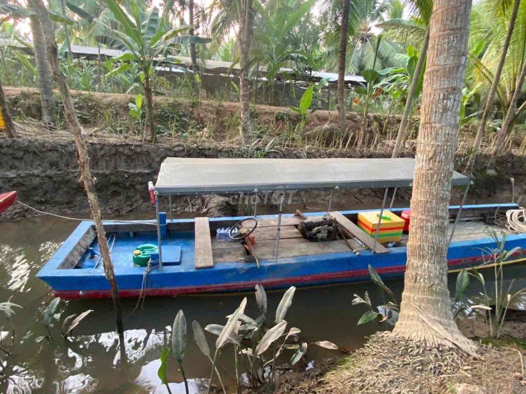 Ảnh số 5