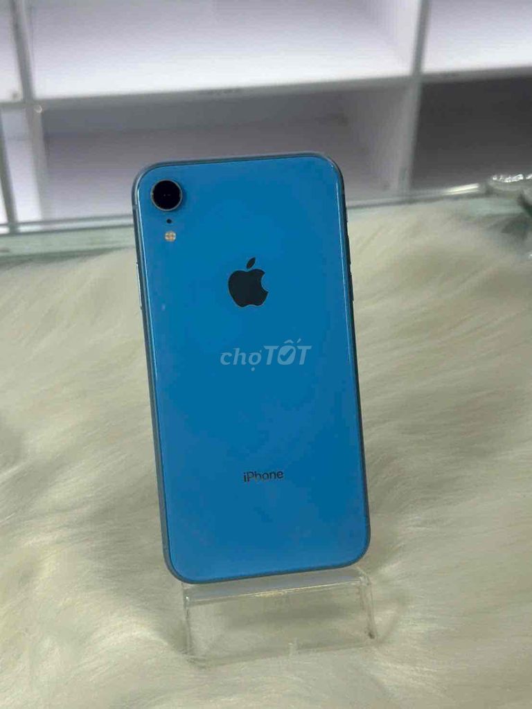 iPhone Xr Lock 64GB - Màn GX - Pin new 100%. Mua bán Điện thoại tại Quận Ninh Kiều Cần Thơ được đăng bởi NP Store hình 1