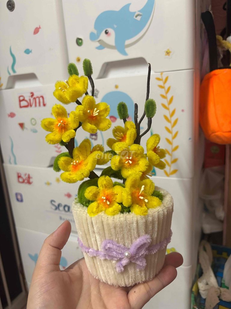 chậu mai kẽm nhung. Mua bán Cây cảnh, đồ trang trí tại Quận Hai Bà Trưng Hà Nội được đăng bởi Lê Nhi hình 1