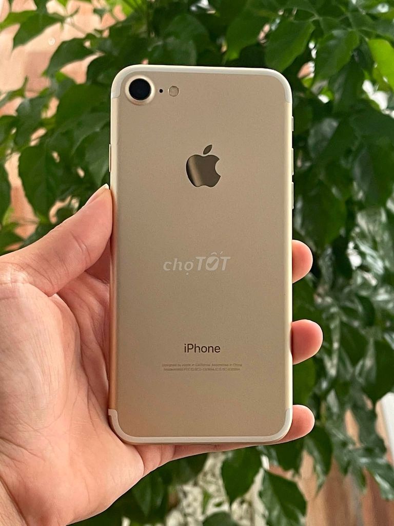 Apple iPhone 7 32GB Vàng. Mua bán Điện thoại tại Quận 10 Tp Hồ Chí Minh được đăng bởi Hội Đồ Điện Tử hình 1