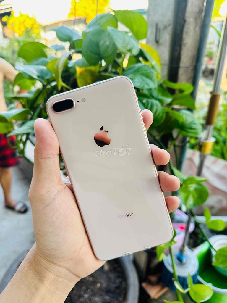 Apple iPhone 8 Plus 64GB Vàng hồng. Mua bán Điện thoại tại Quận 12 Tp Hồ Chí Minh được đăng bởi Nguyễn Văn Vang hình 1